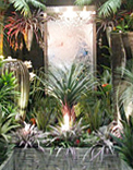 Water Features